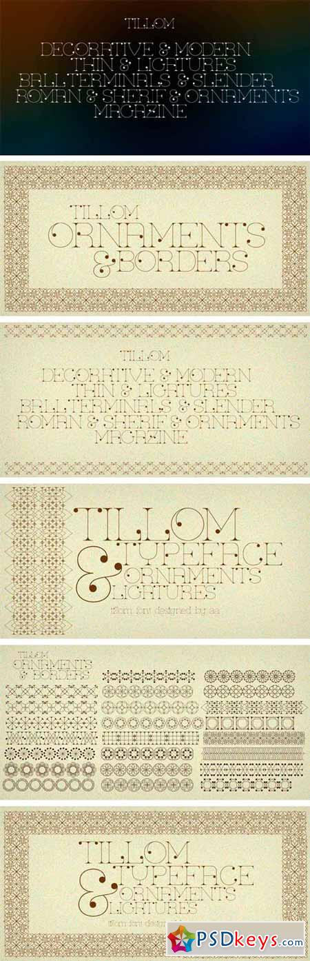 Tillom Font Family - 2 Fonts $49