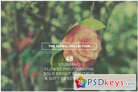 THE FLORAL COLLECTION iseeyouphoto 63282