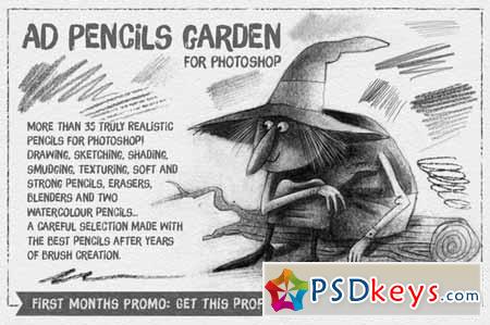 The Pencils Garden 131712