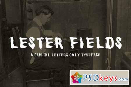 Lester Fields Display Typeface 135735