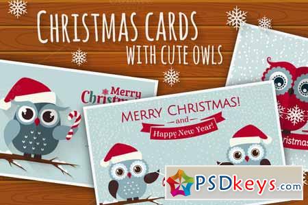 Christmas set with cute owls 135133