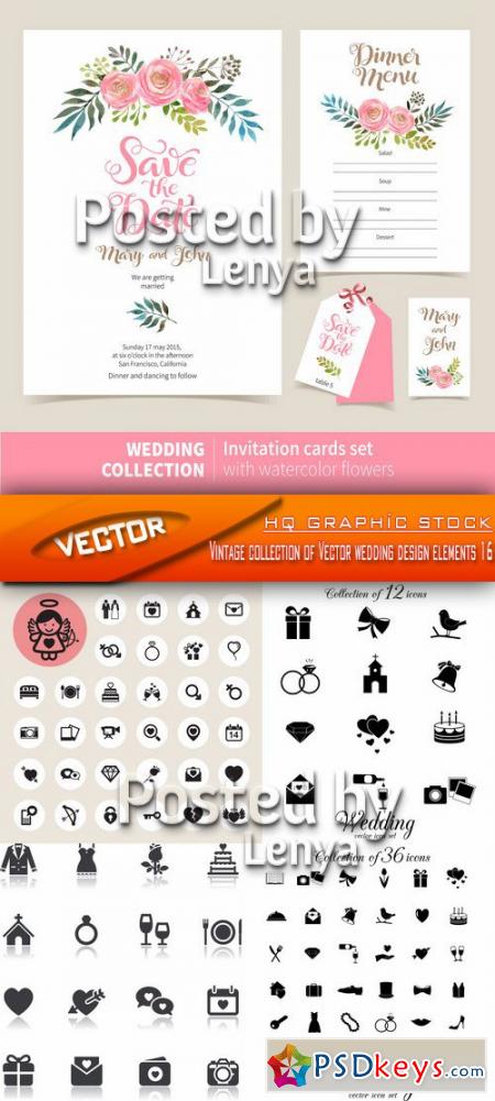 Vintage collection of Vector wedding design elements 16