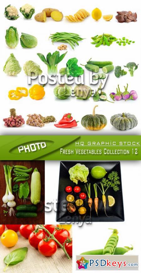 Stock Photo - Fresh Vegetables Collection 12