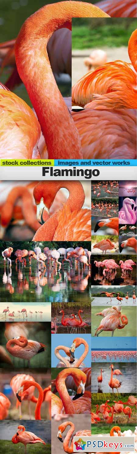 Flamingo,25 x UHQ JPEG
