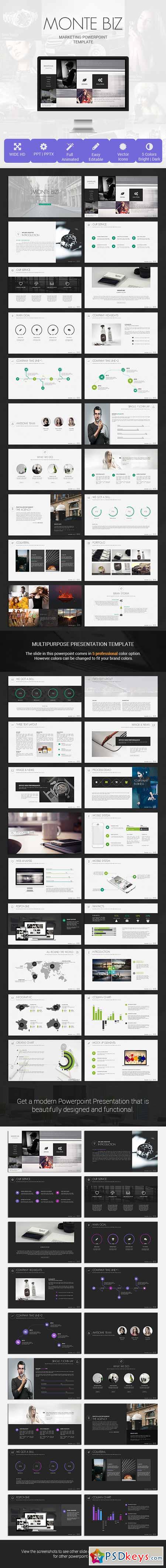 Monte Biz Presentation Template 8123649