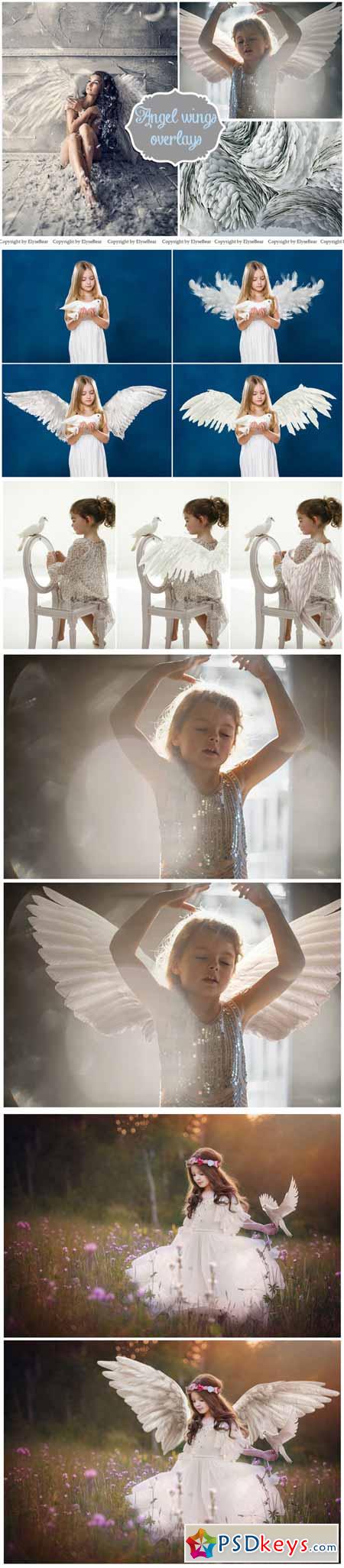 15 White Angel Wings Overlays PNG 164327
