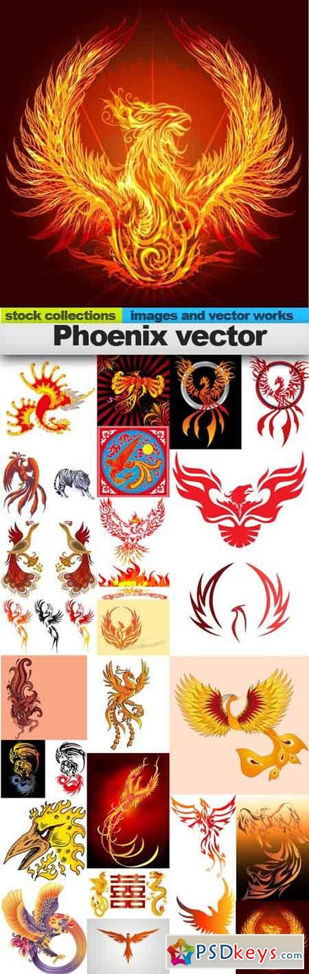 Phoenix vector, 25 x EPS