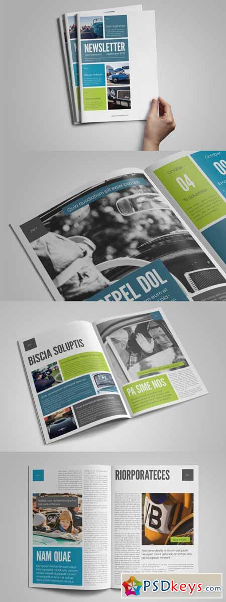 InDesign Newsletter Template 176541