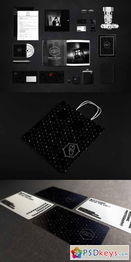 Luxury Branding for Photographer 185931