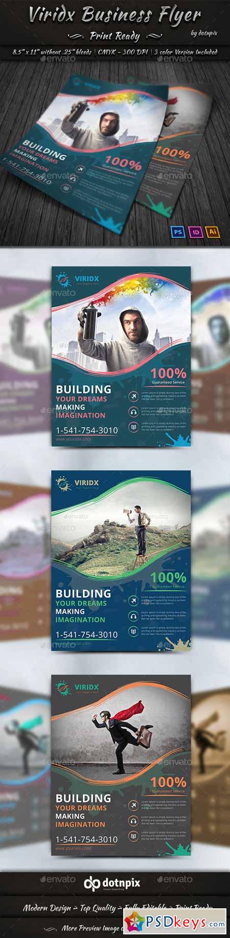 Viridx Business Flyer 10279997