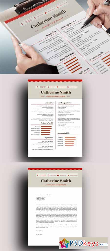 Charted modern resume template 184699