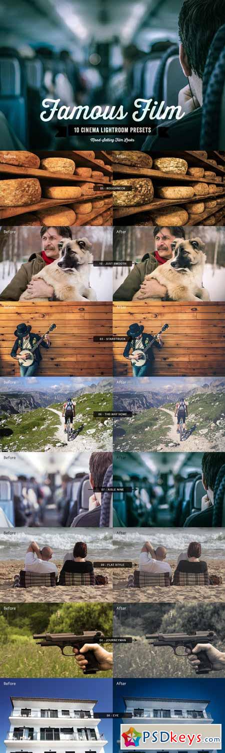 Famous Film Lightroom Presets Vol 1