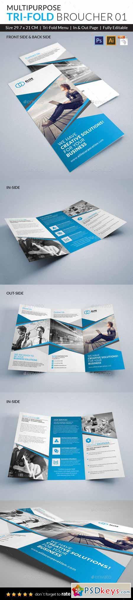 Trifold Brochure 10136465