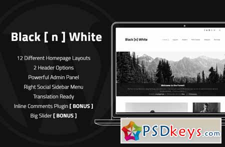Black N White - Wordpress Theme 200312