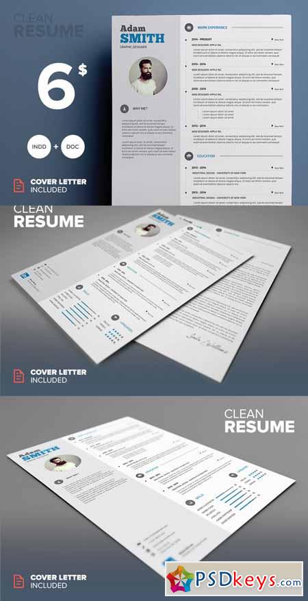 Clean Resume - MS Word & Indesign 214424