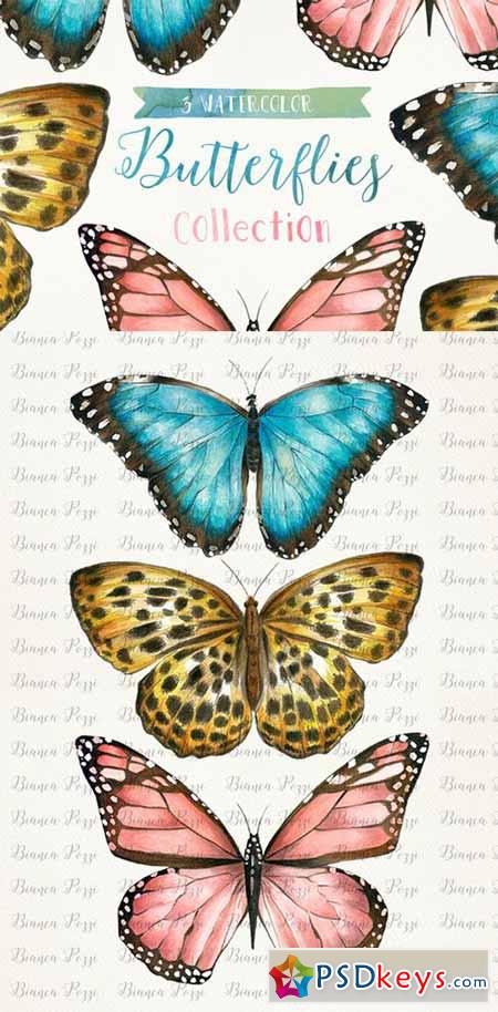 3 Watercolor Butterflies 198350