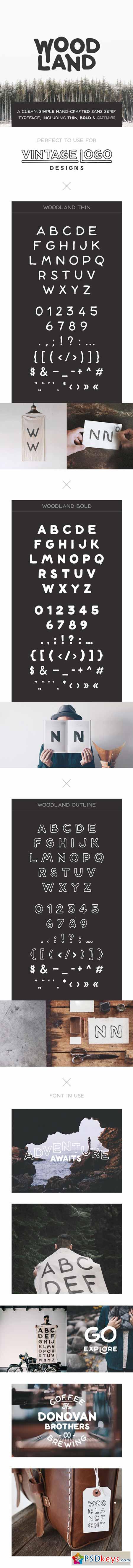 Woodland Font 10593502