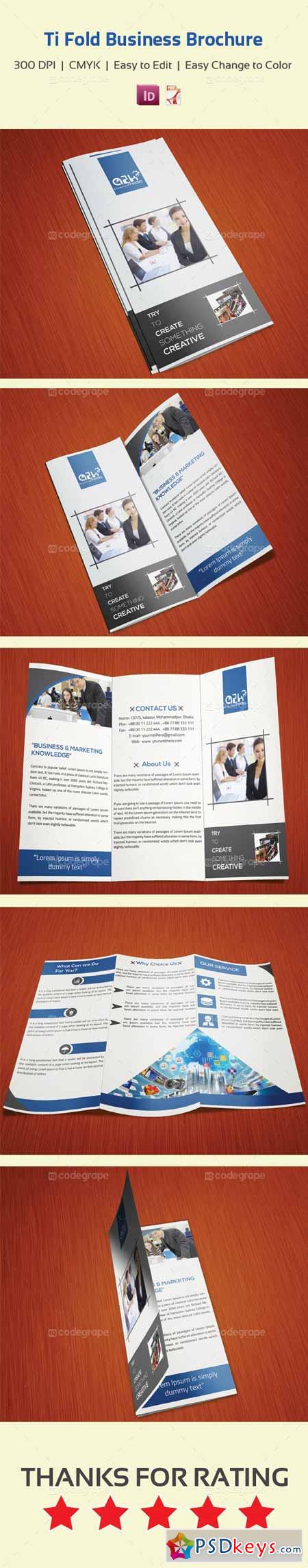 Tri Fold Business Brochure 5270