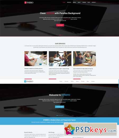 Synero - One page Multipurpose Theme 234381