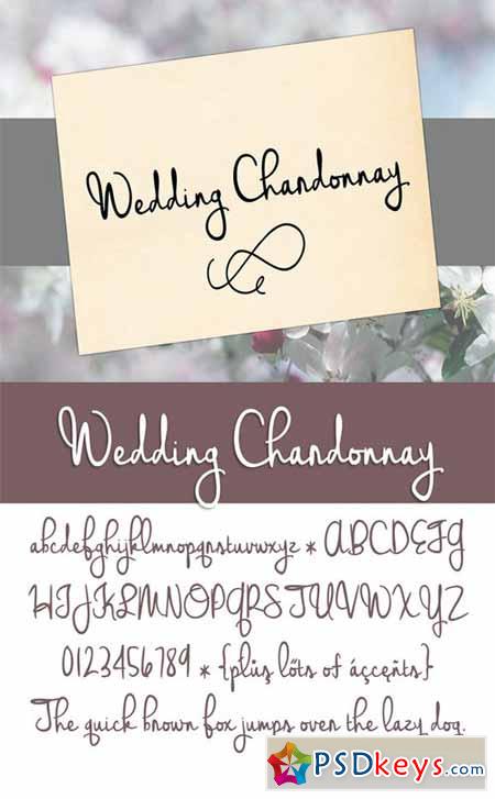 Wedding Chardonnay Font 237135