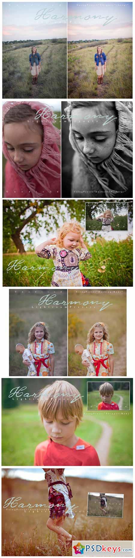 M4H Harmony Lightroom Presets Collection