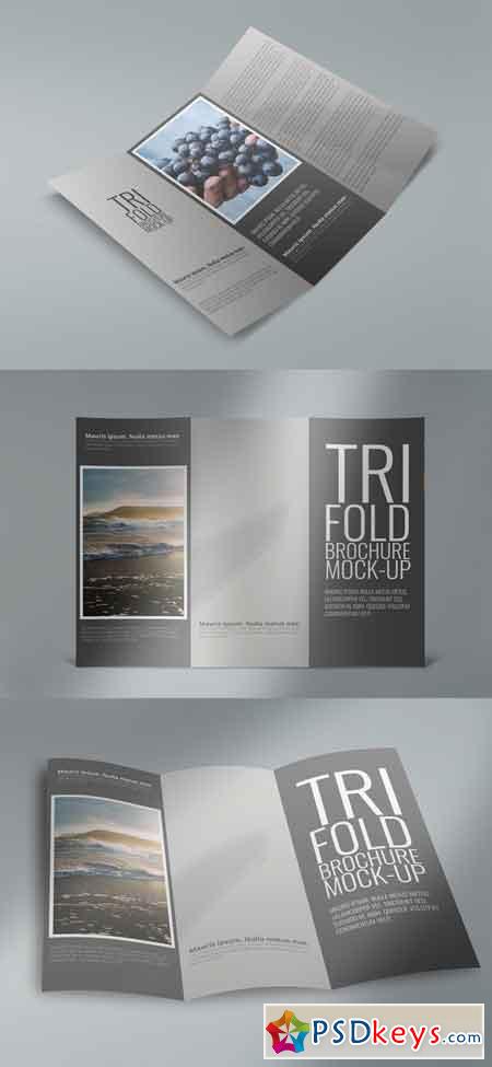 Tri-Fold Brochure Mock Ups 236940