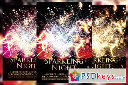 Sparkling Night Flyer 240224