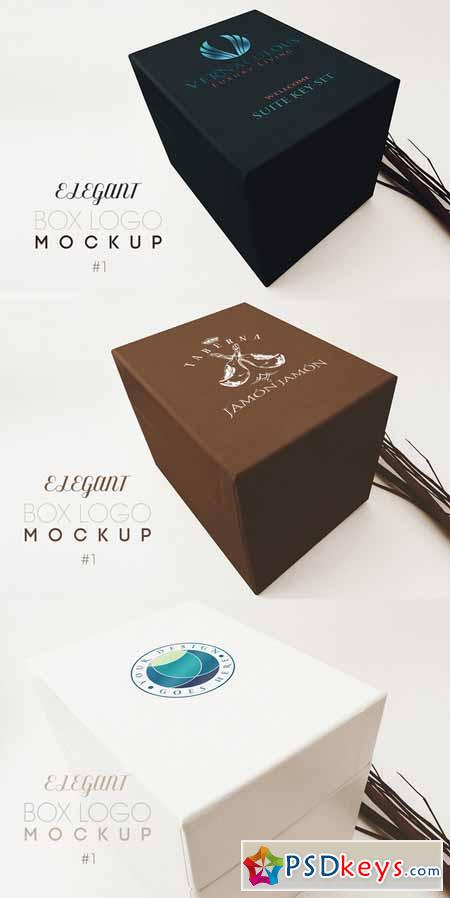 Elegant Box Logo Mockup 239606