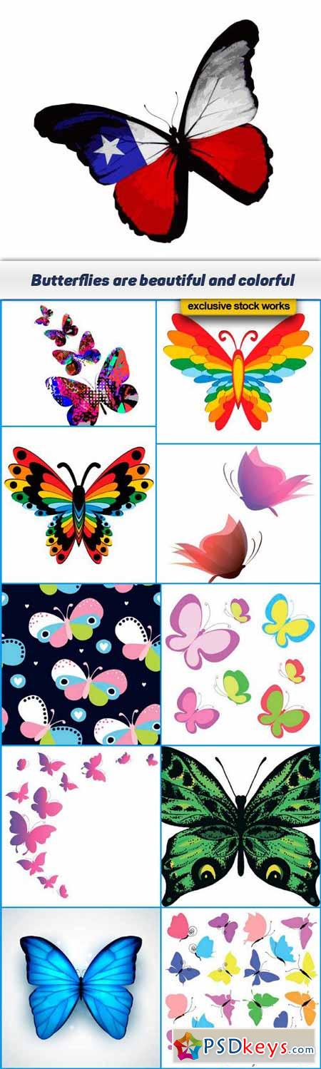 Butterflies are beautiful and colorful 11x EPS