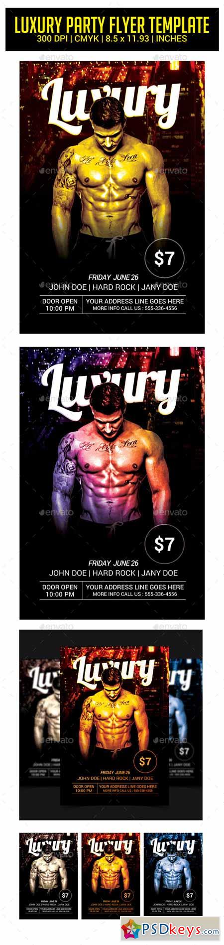 Luxury Party Night Flyer Template 11251813