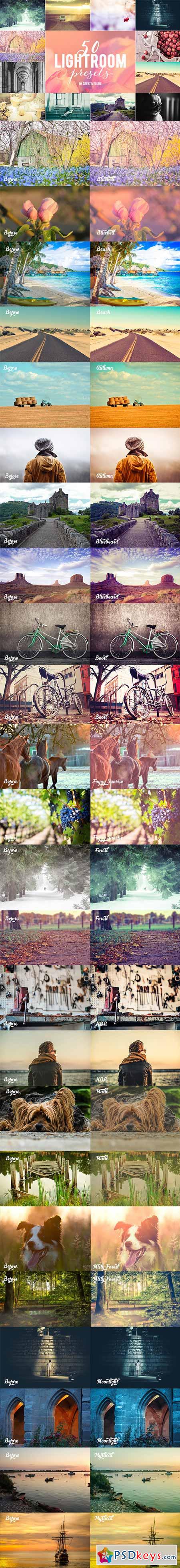 50 Lightroom Presets Bundle 259020