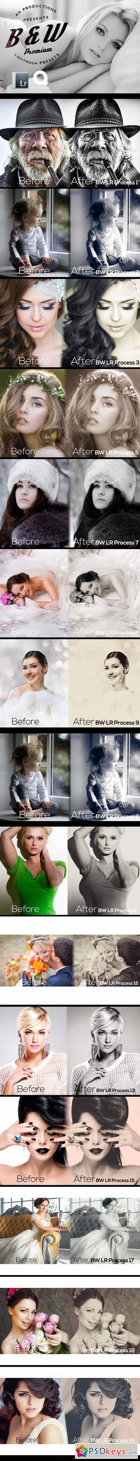 Black & White Lightroom Presets 209345