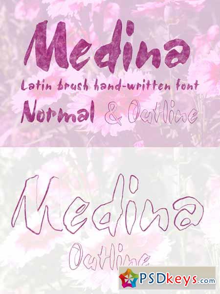 Medina Brush Font 264030