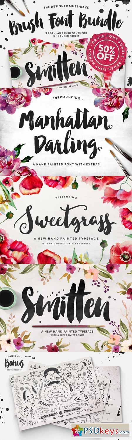 The Brush Script Bundle  50% OFF 264357