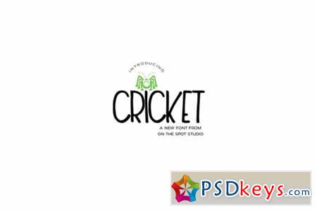 Cricket 178168