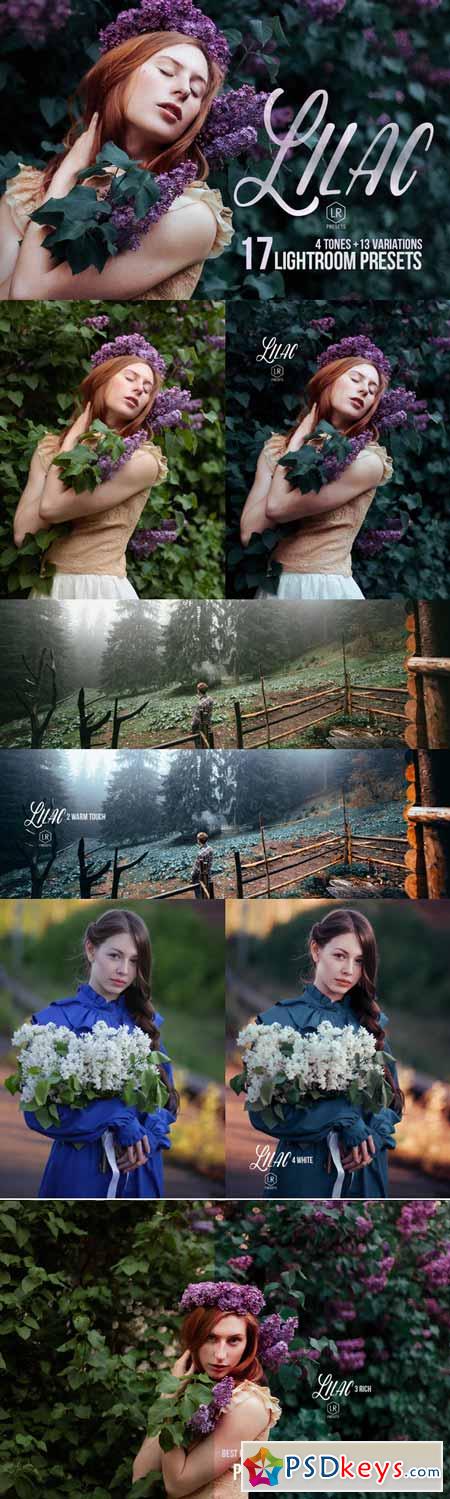 Lilac - 17 Toning Lightroom Presets 278633