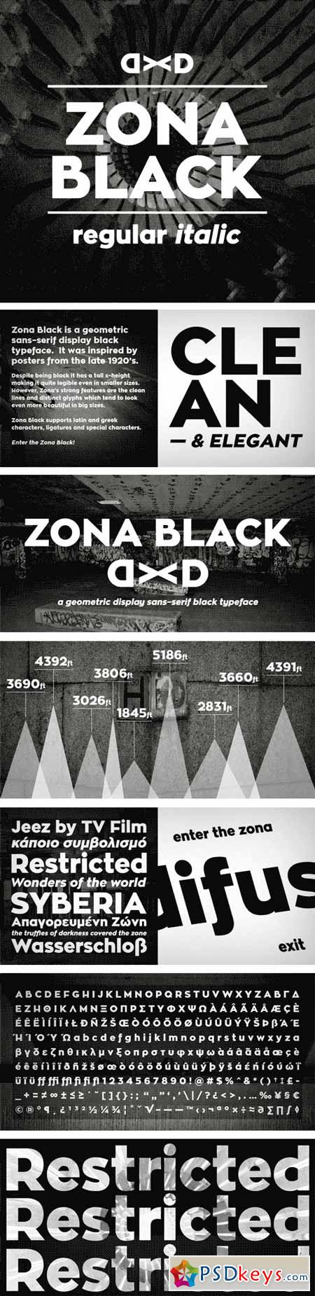 Zona Black Font Family