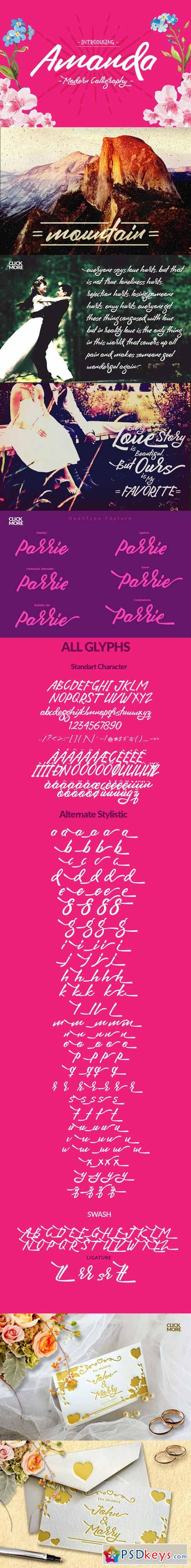 Amanda Typeface 286541