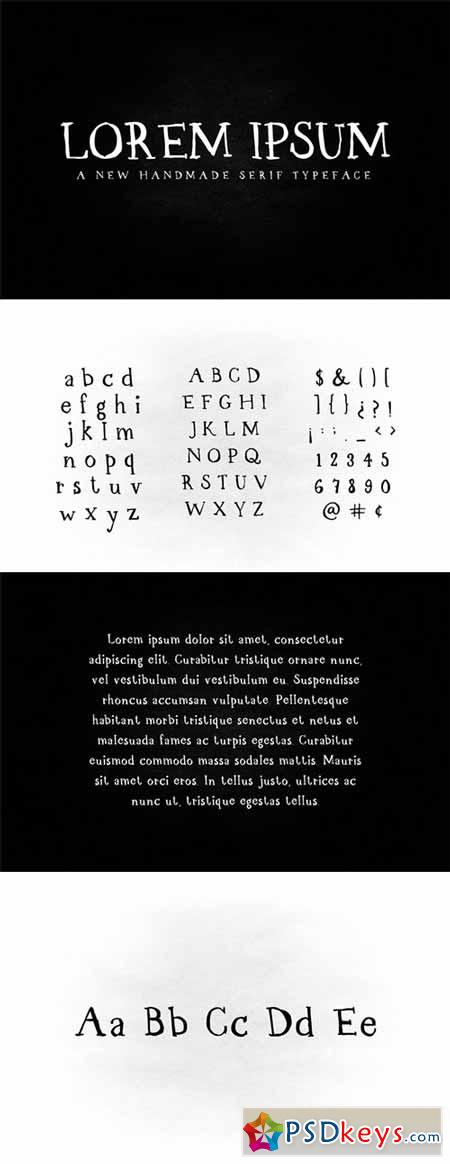 Lorem Serif Font 290978