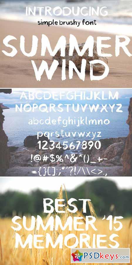 Summer Wind Simple Brush Font 302879