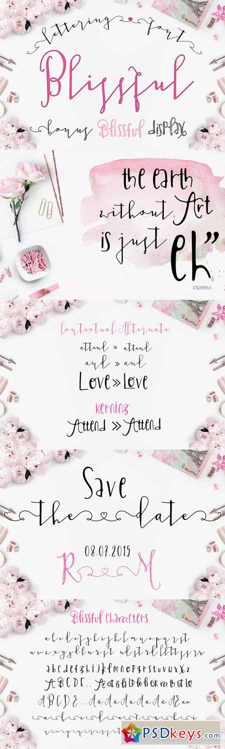 Blissful Script and Display Font 303613