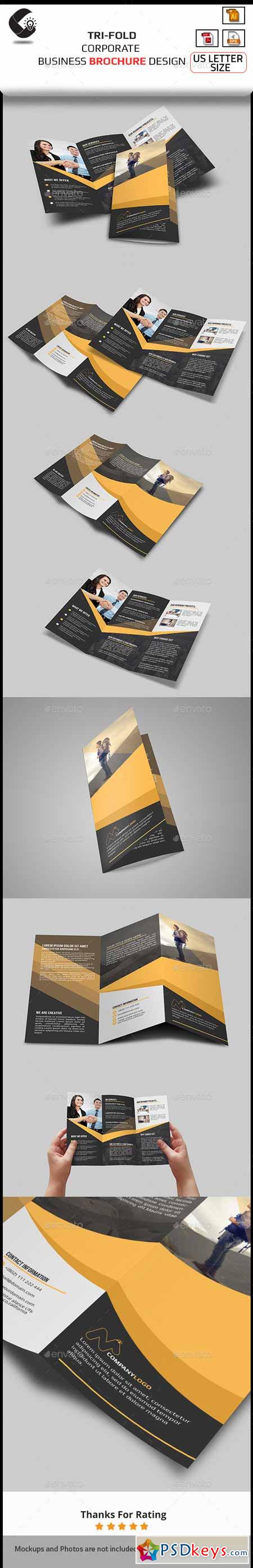 Tri-Fold Brochure- Multipurpose 10892948