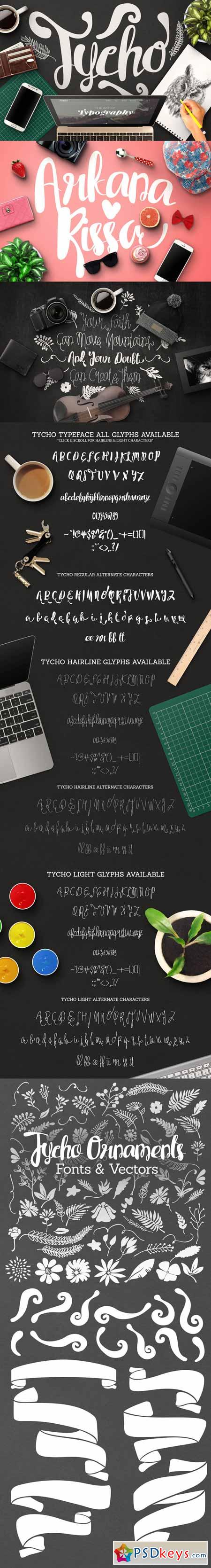 Tycho Typeface 304460