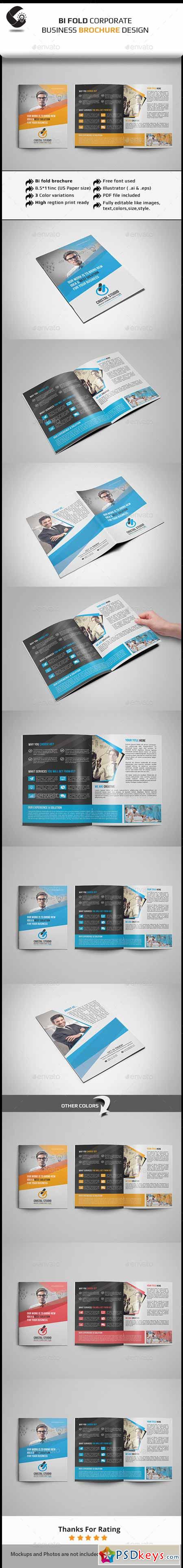 Bi Fold Brochure 11531886