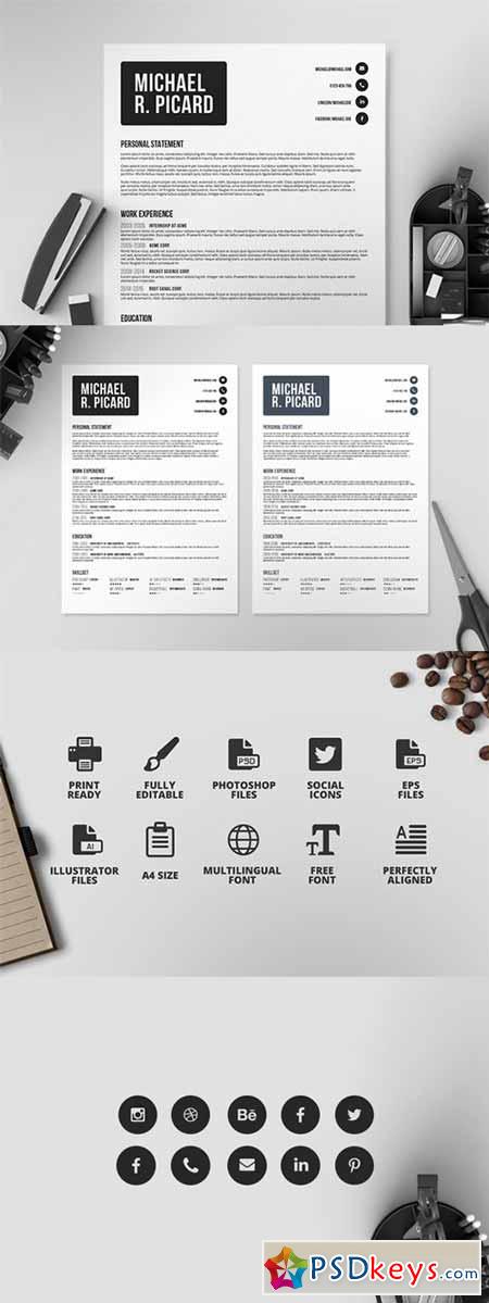 Resume CV Template VI 306858