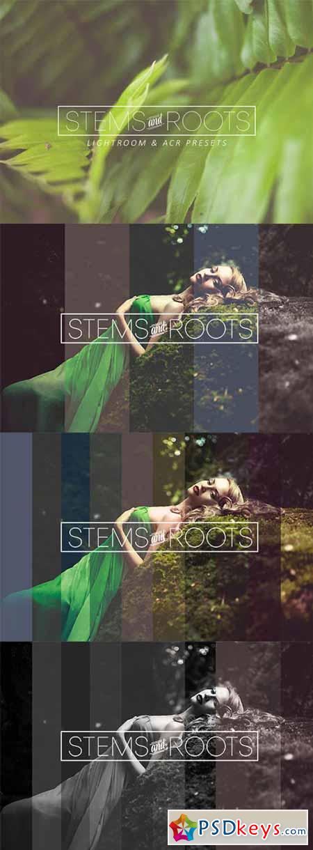 Stems & Roots LR ACR Presets 280476