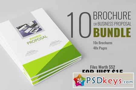 Brochure or Business Proposal Bundle 318280