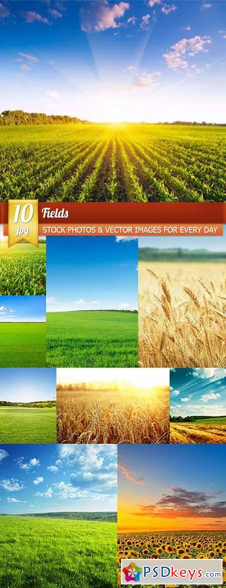Fields, 10 x UHQ JPEG