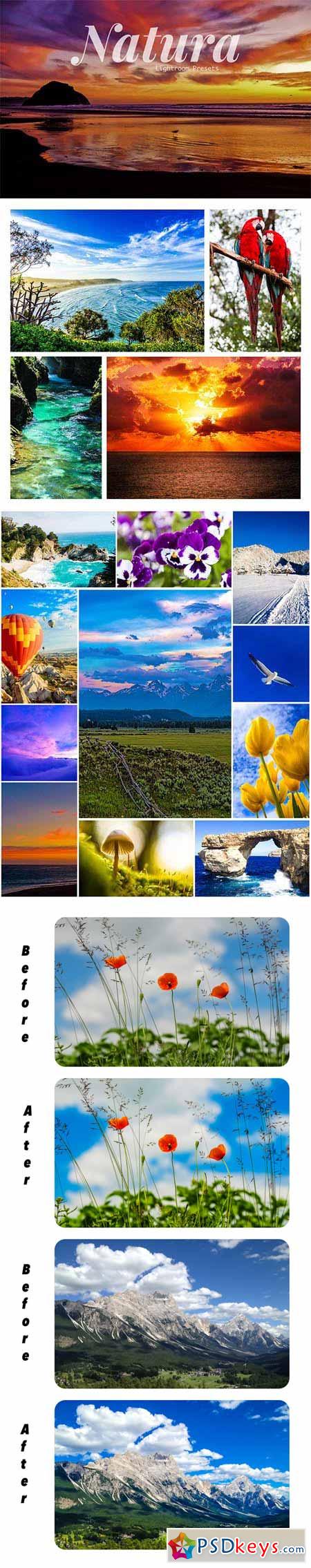 Natura Landscapes Lightroom Presets 318631