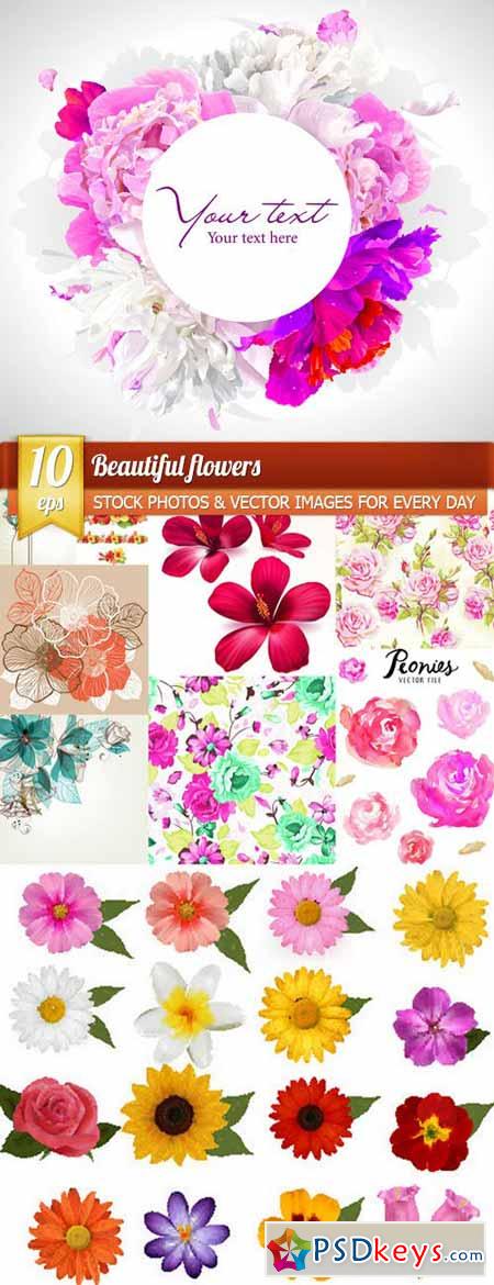 Beautiful flowers, 10 x EPS